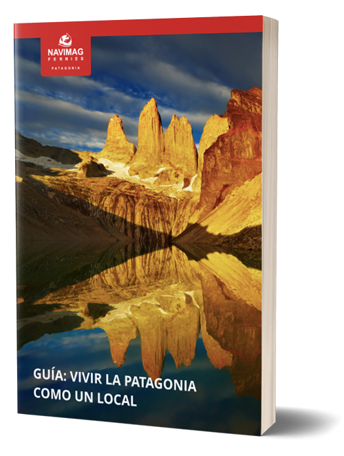Guide